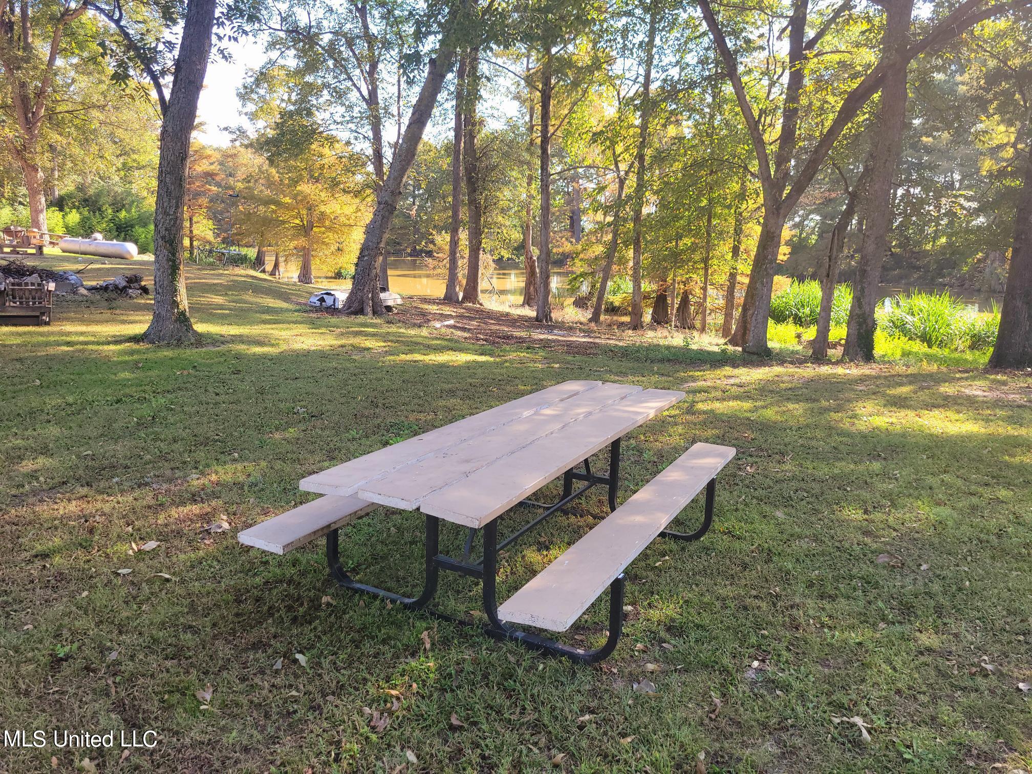5675 Dubbs Road Dundee, MS 38626 - Photo 41 of 51 20241012_101252
