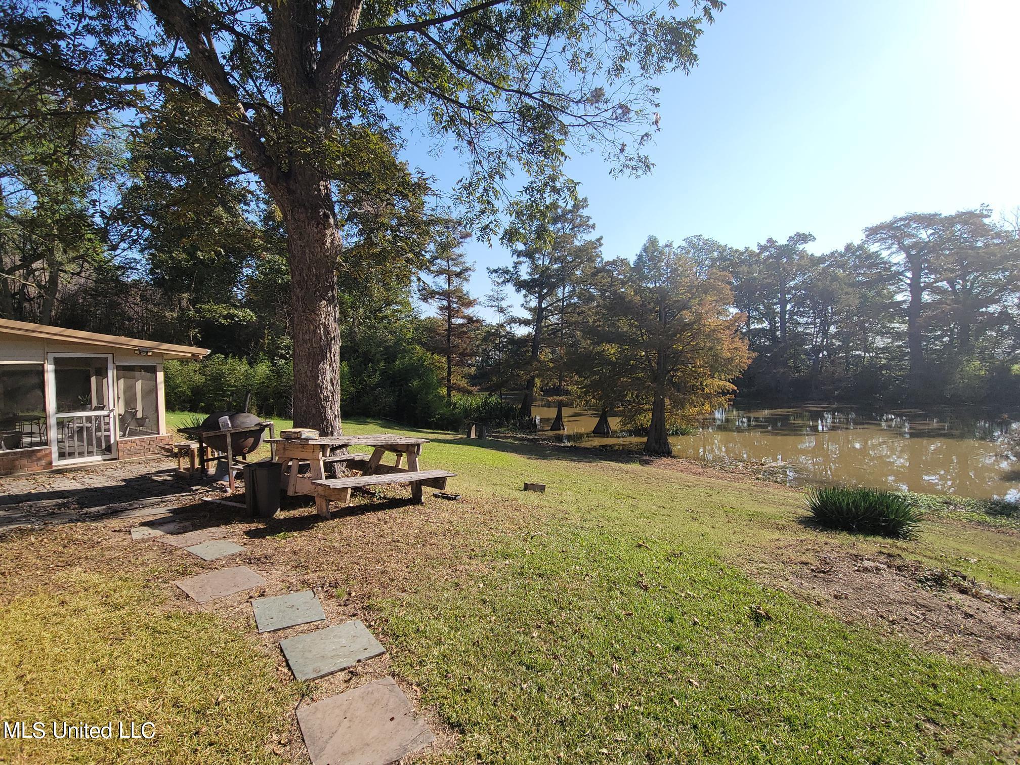 5675 Dubbs Road Dundee, MS 38626 - Photo 46 of 51 Pic 10
