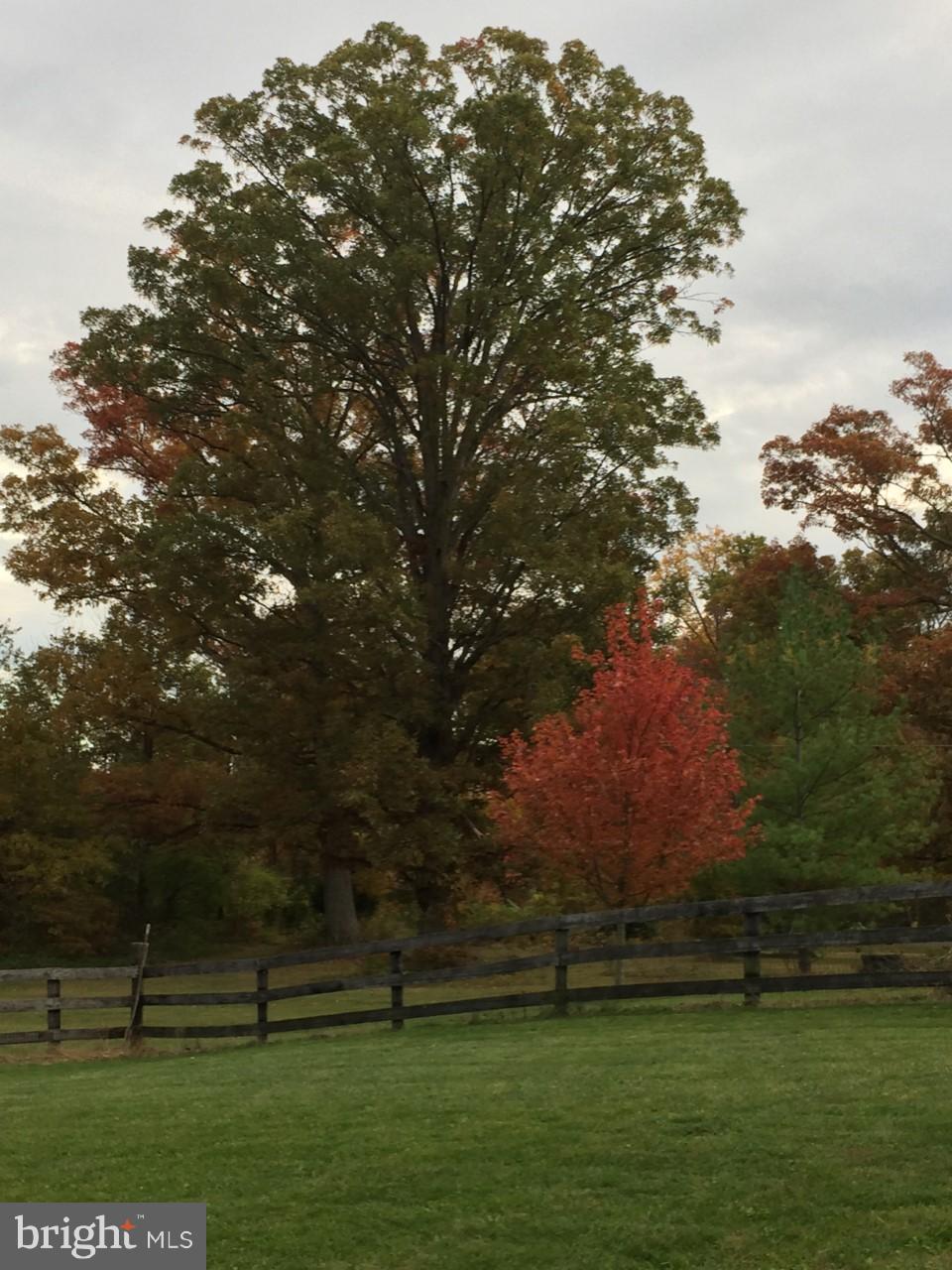 2425 Logmill Road Haymarket, VA 20169 - Photo 27 of 30 Exterior (General)