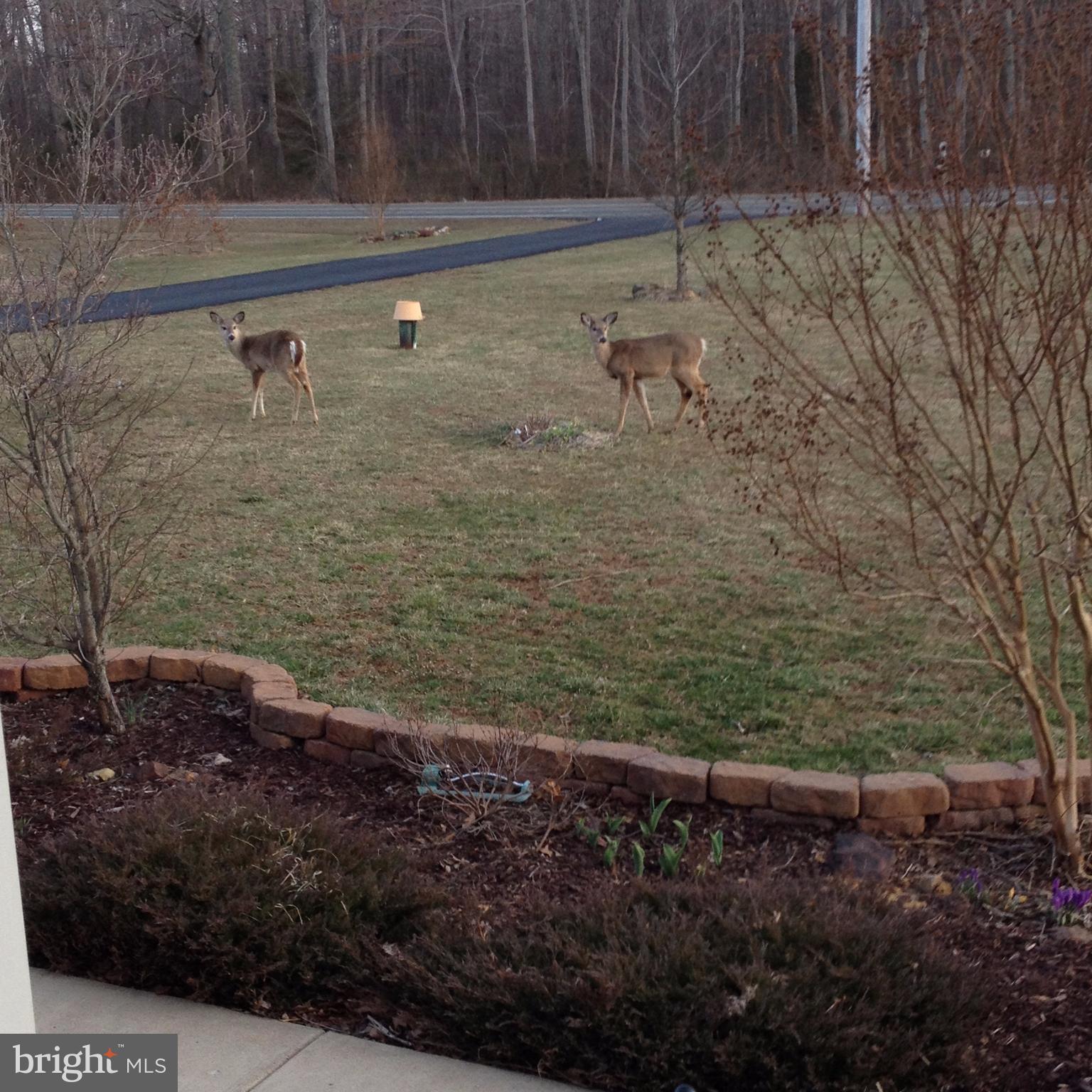 2425 Logmill Road Haymarket, VA 20169 - Photo 28 of 30 Exterior (General)