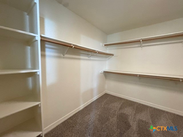 3941 Wells Drive Kempner, TX 76539 - Photo 14 of 36 Oversized walk-in closet with built-in shelves