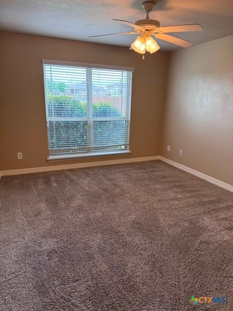 3941 Wells Drive Kempner, TX 76539 - Photo 17 of 36 Bedroom 1