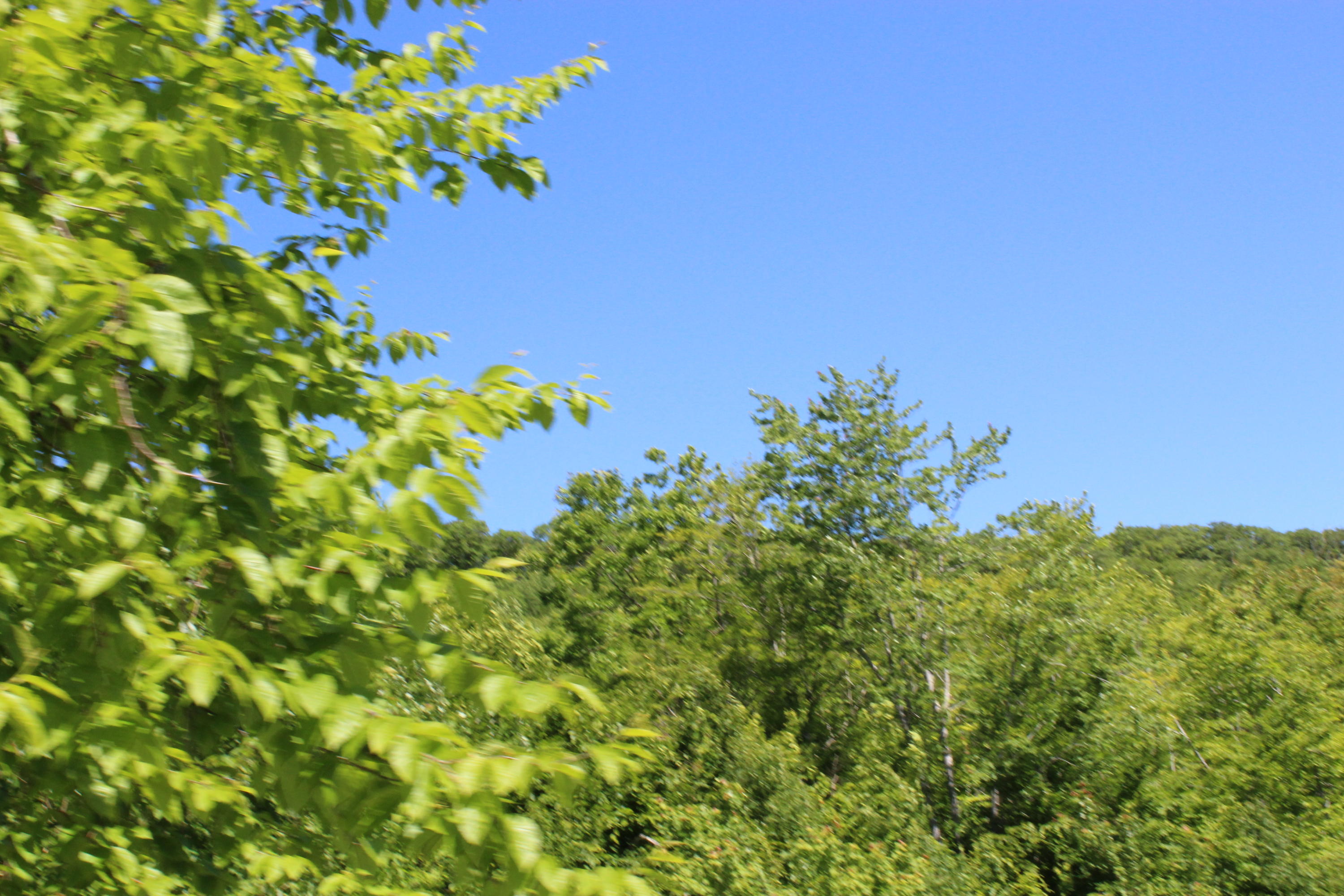 117 South Brooks Road Brooks, ME 04921 - Photo 32 of 37 IMG_0502