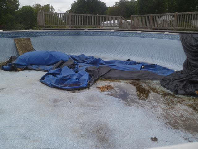 14690 Goutz Road Monroe, MI 48161 - Photo 19 of 20 Pool