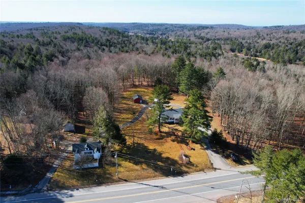 $825,000 | 1095 State Rt 17B, Mongaup Valley, NY 12762