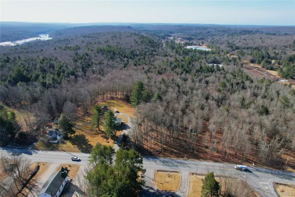 $825,000 | 1095 State Rt 17B, Mongaup Valley, NY 12762