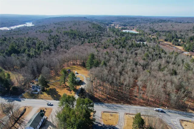 $825,000 | 1095 State Rt 17B, Mongaup Valley, NY 12762