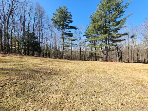 $825,000 | 1095 State Rt 17B, Mongaup Valley, NY 12762