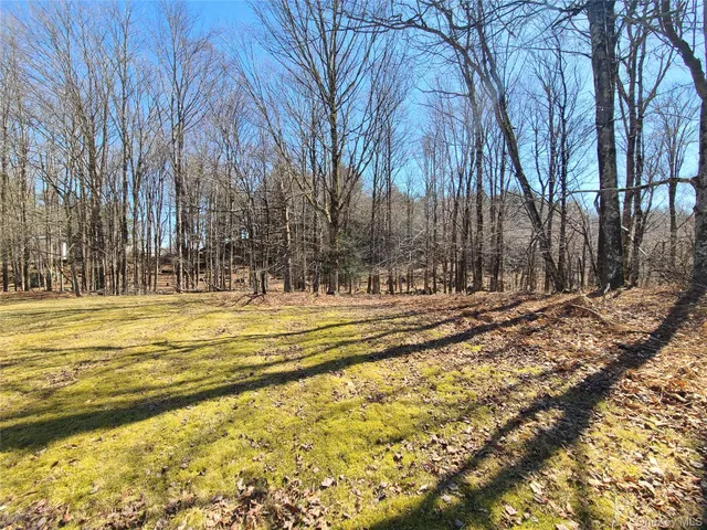 $825,000 | 1095 State Rt 17B, Mongaup Valley, NY 12762