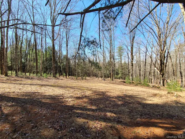 $825,000 | 1095 State Rt 17B, Mongaup Valley, NY 12762