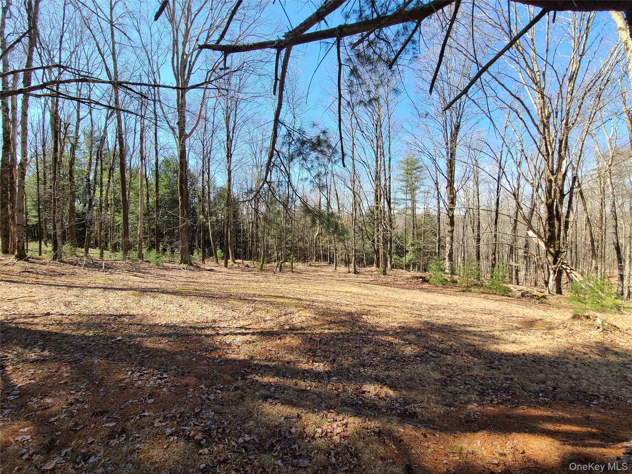 1095 State Rt 17B Mongaup Valley, NY 12762 - Photo 38 of 47 View of nature with a wooded view