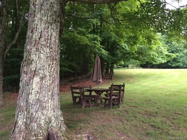 $825,000 | 1095 State Rt 17B, Mongaup Valley, NY 12762