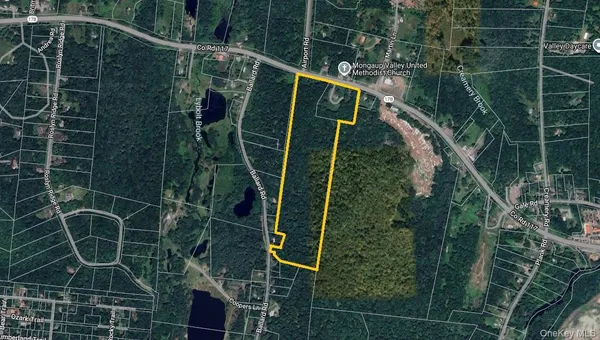 $825,000 | 1095 State Rt 17B, Mongaup Valley, NY 12762