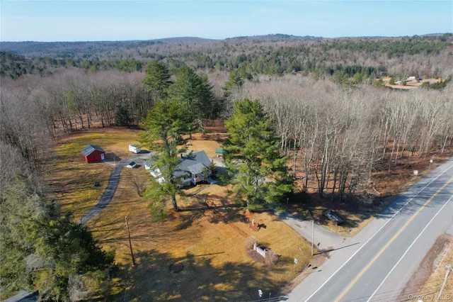 $825,000 | 1095 State Rt 17B, Mongaup Valley, NY 12762
