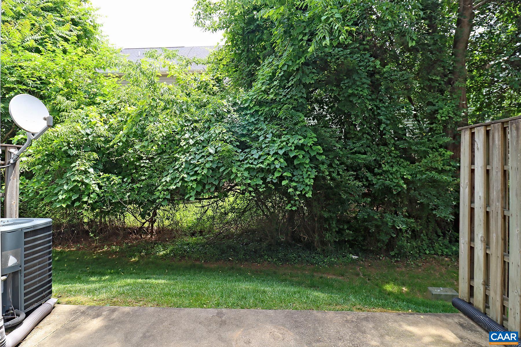 3349 Worth Crossing Charlottesville, VA 22911 - Photo 12 of 20