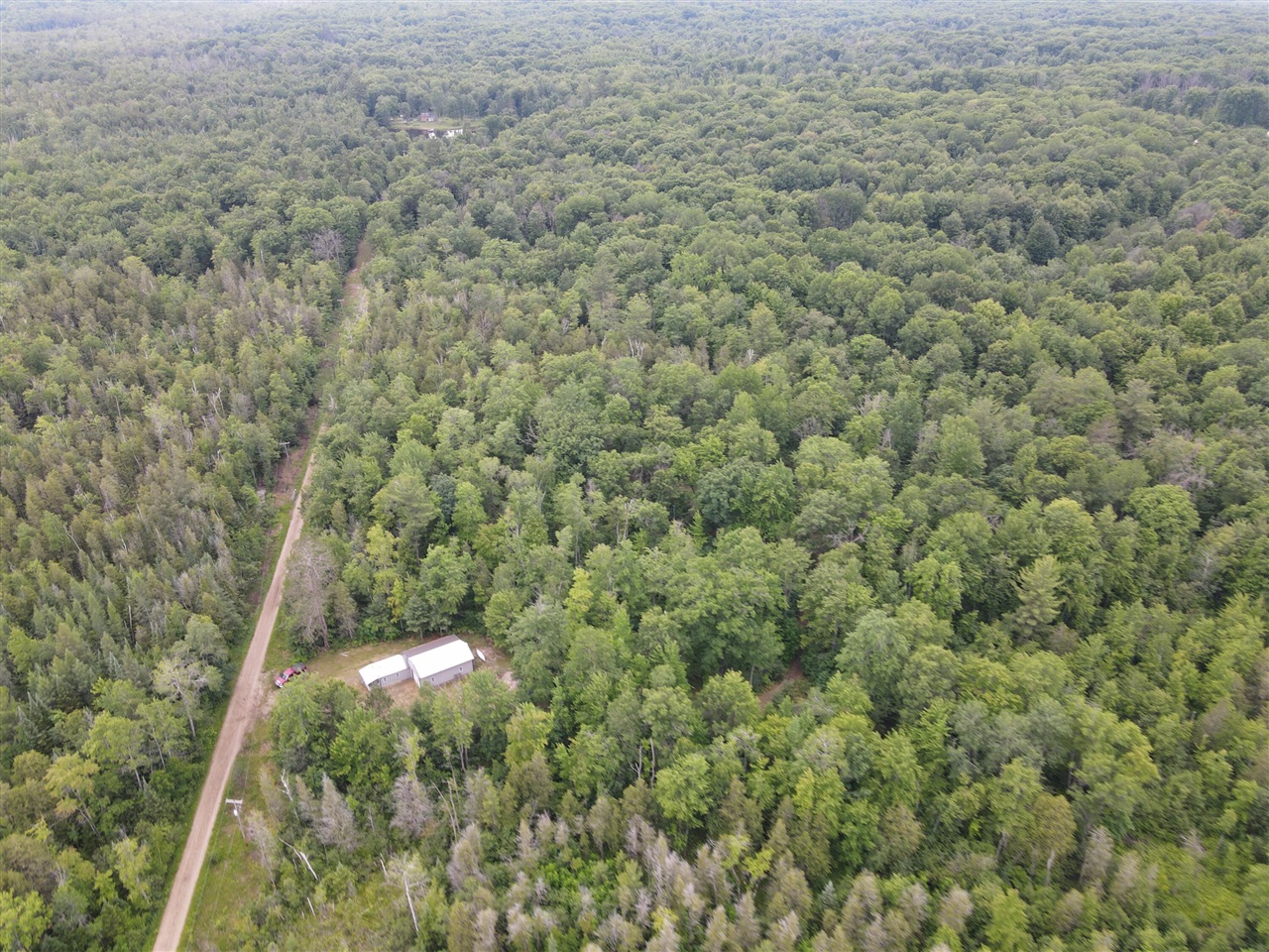 11401 Little George Lake Road Gladwin, MI 48624 - Photo 31 of 98