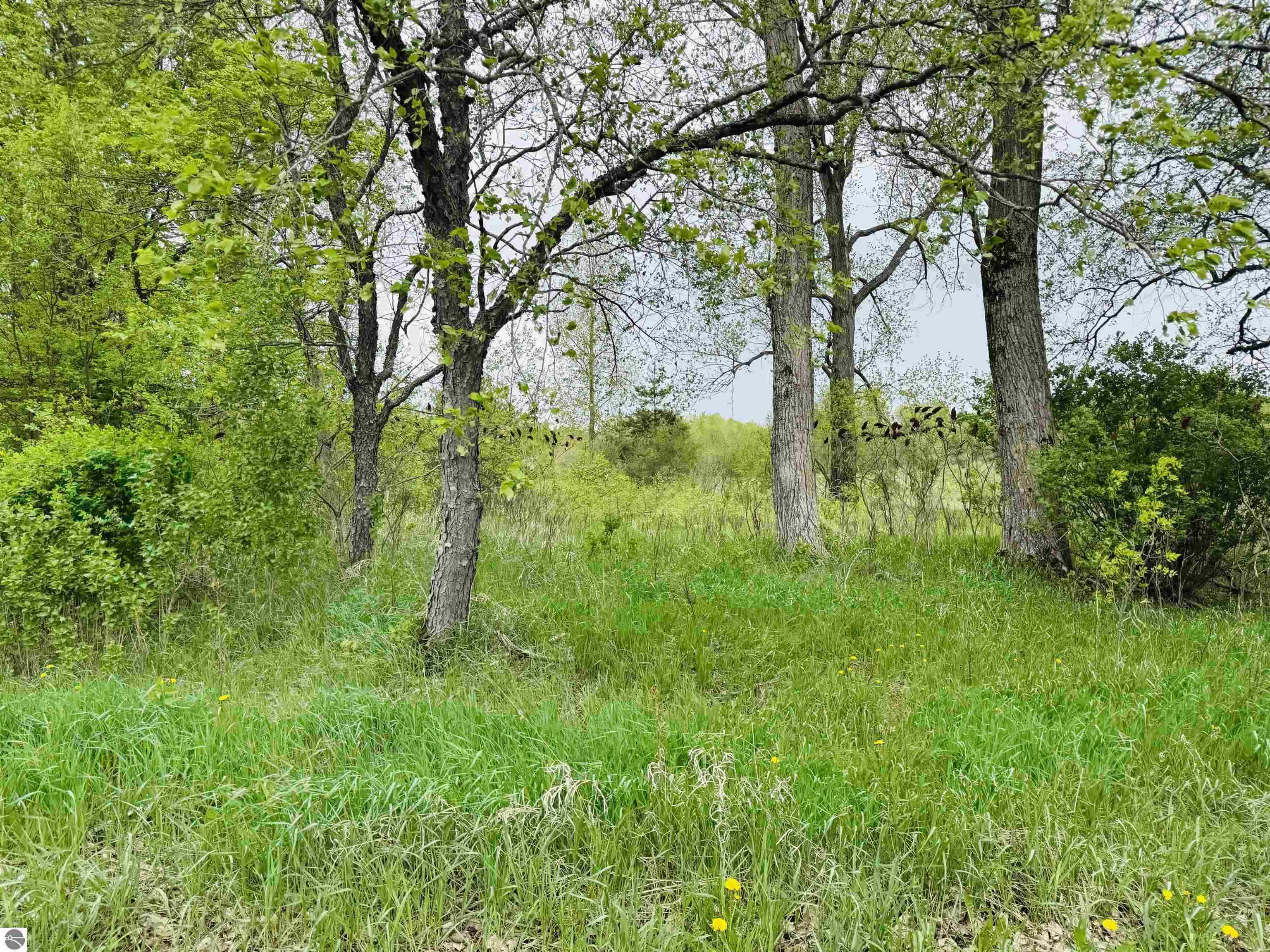 Packingham Road Manton, MI 49663 - Photo 5 of 25