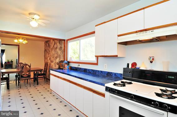 134 Magothy Beach Road Pasadena, MD 21122 - Photo 3 of 16 Kitchen