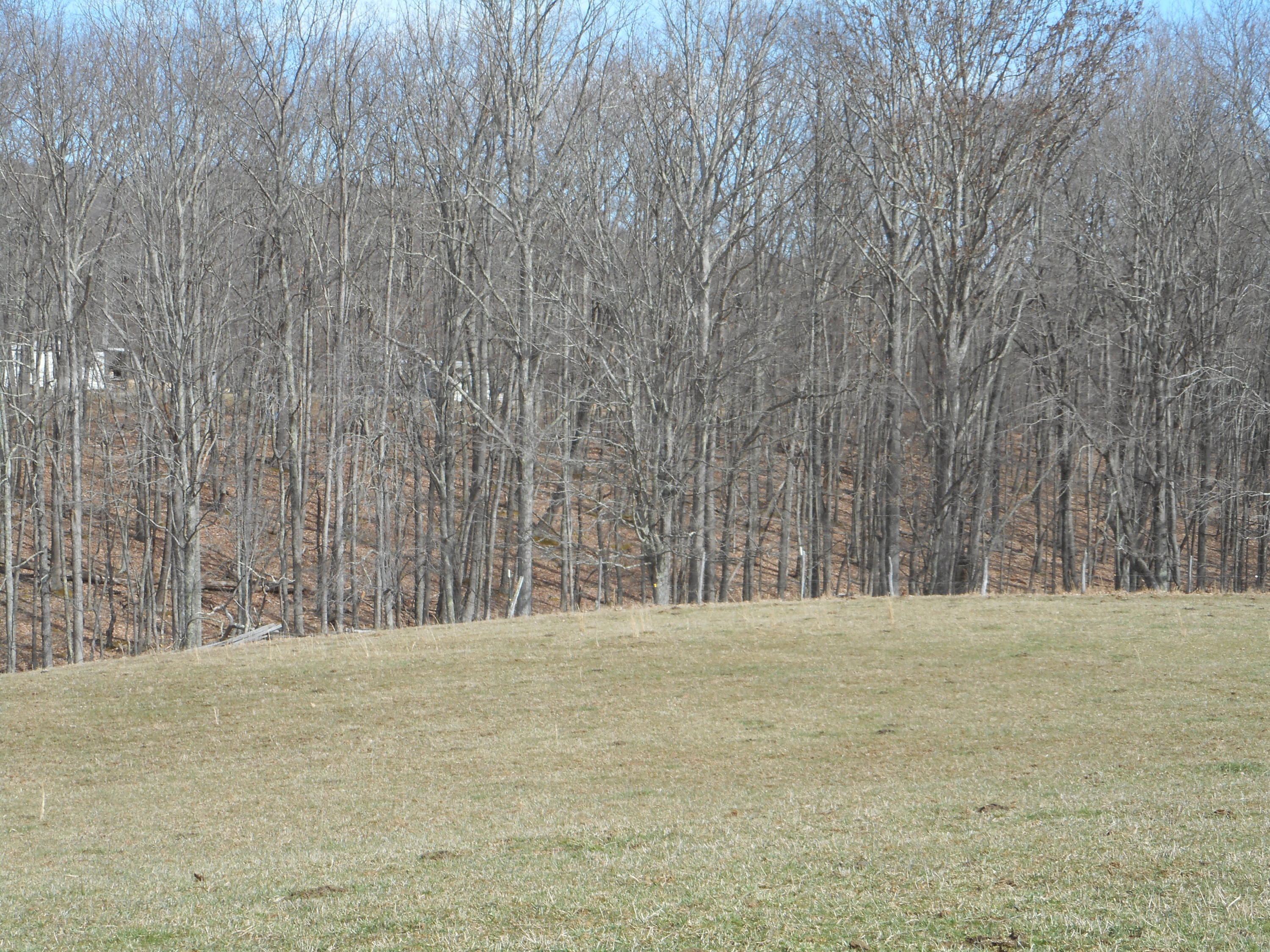 6484 Elk Knob Road Hinton, WV 25951 - Photo 12 of 25 Gallery Image 12