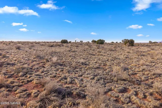 a view of a large building