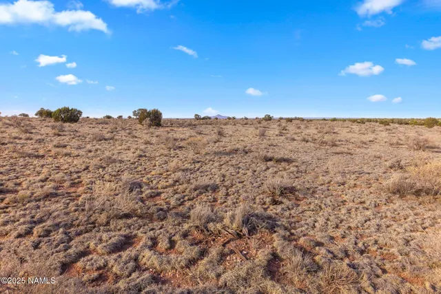 a view of an ocean beach