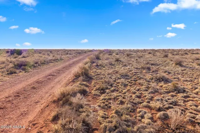 a view of beach and ocean