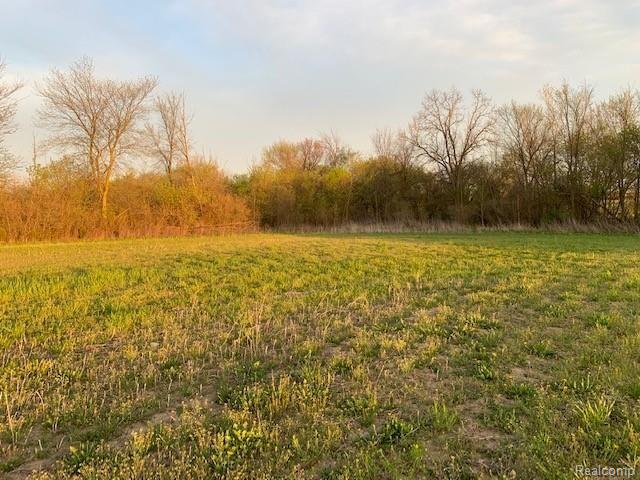 1 Exeter Road Carleton, MI 48117 - Photo 14 of 24 Gallery Image 14