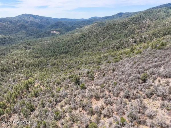 a view of a dry field with mountains in the background