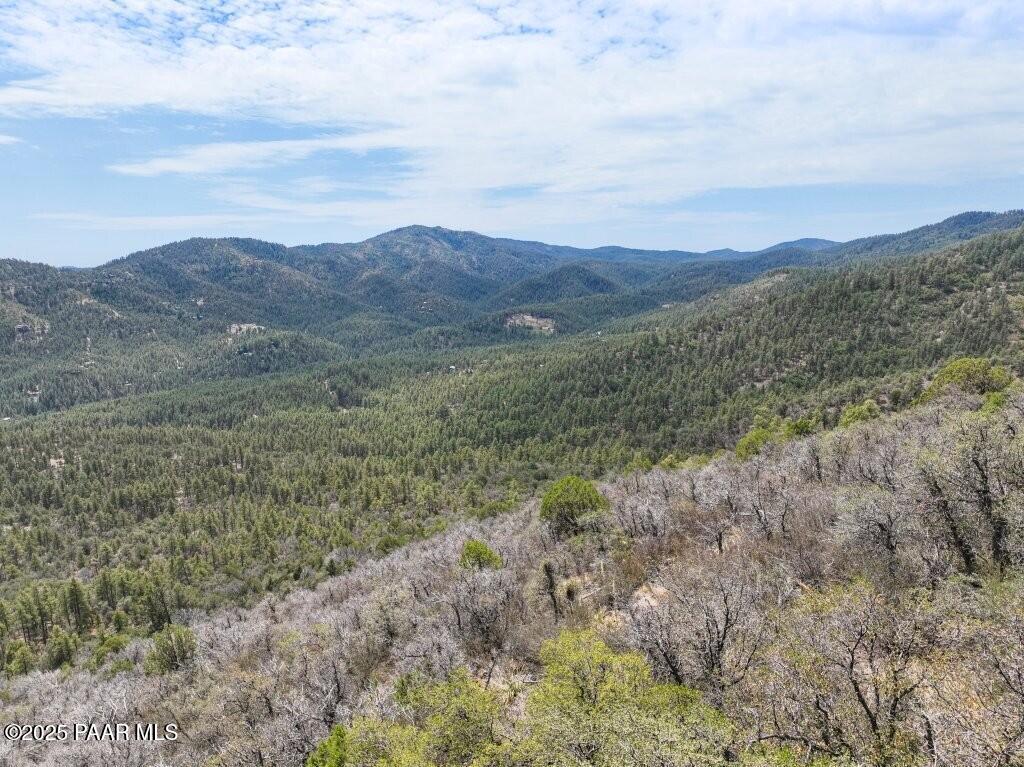 0 East Bald Mountain Road Prescott, AZ 86303 - Photo 14 of 18 a view of an outdoor space and mountains