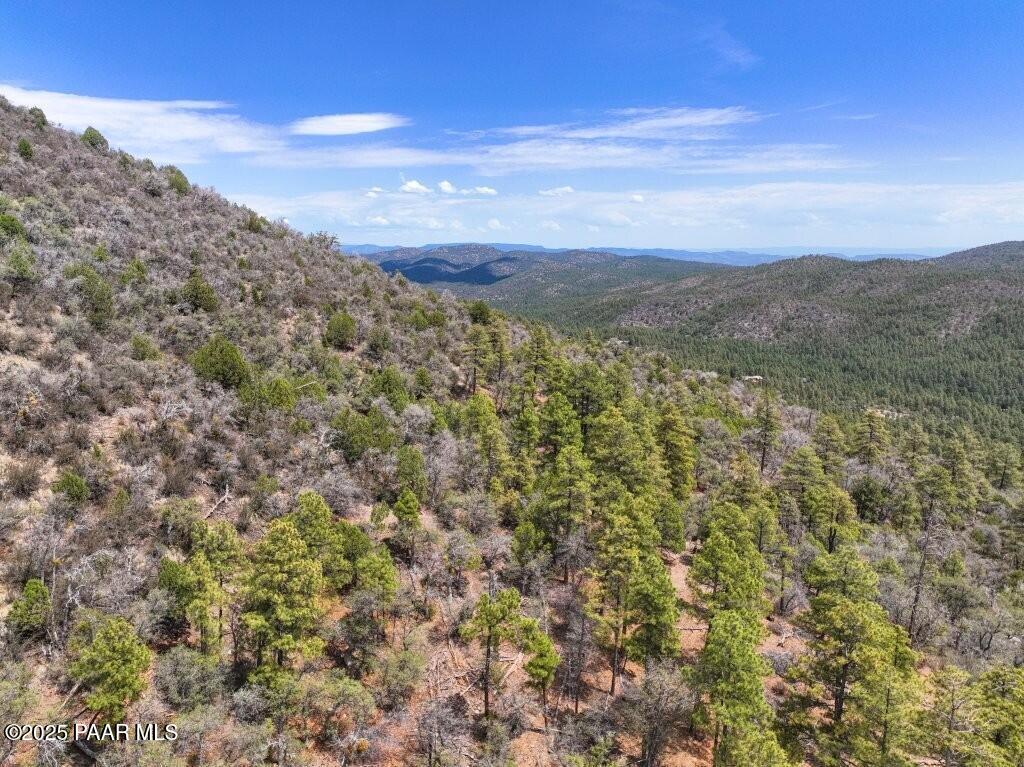 0 East Bald Mountain Road Prescott, AZ 86303 - Photo 17 of 18 a view of a forest with mountains in the background