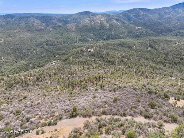 a view of a dry field with trees in the background