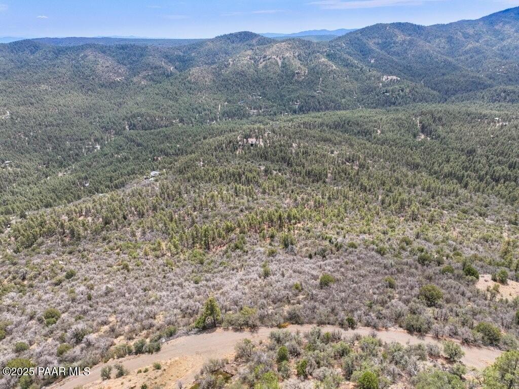 0 East Bald Mountain Road Prescott, AZ 86303 - Photo 9 of 18 a view of a dry field with trees in the background