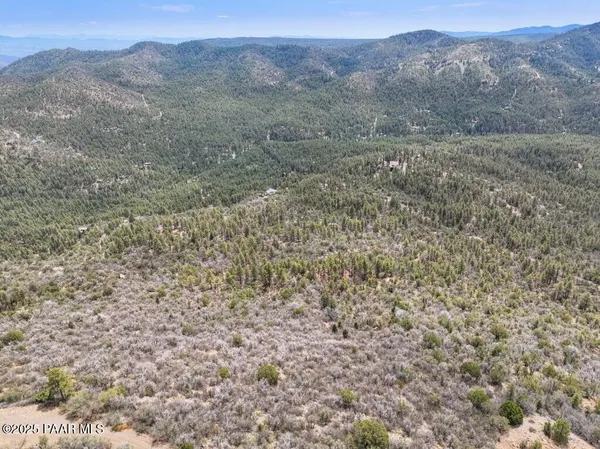 a view of a dry yard with mountains in the background