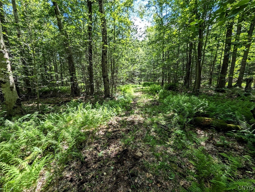 537 Maple Road West Union, NY 14877 - Photo 36 of 50