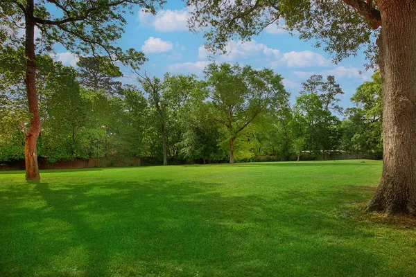 a view of a lush green space