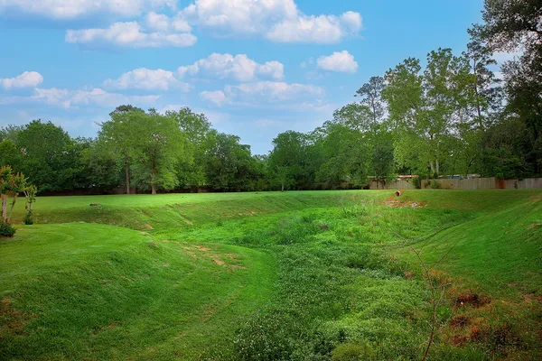 a view of grassy field with trees