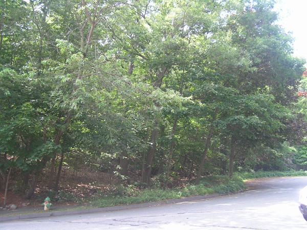 14 Randell Road Saugus, MA 01906 - Photo 1 of 8 Gallery Image 1