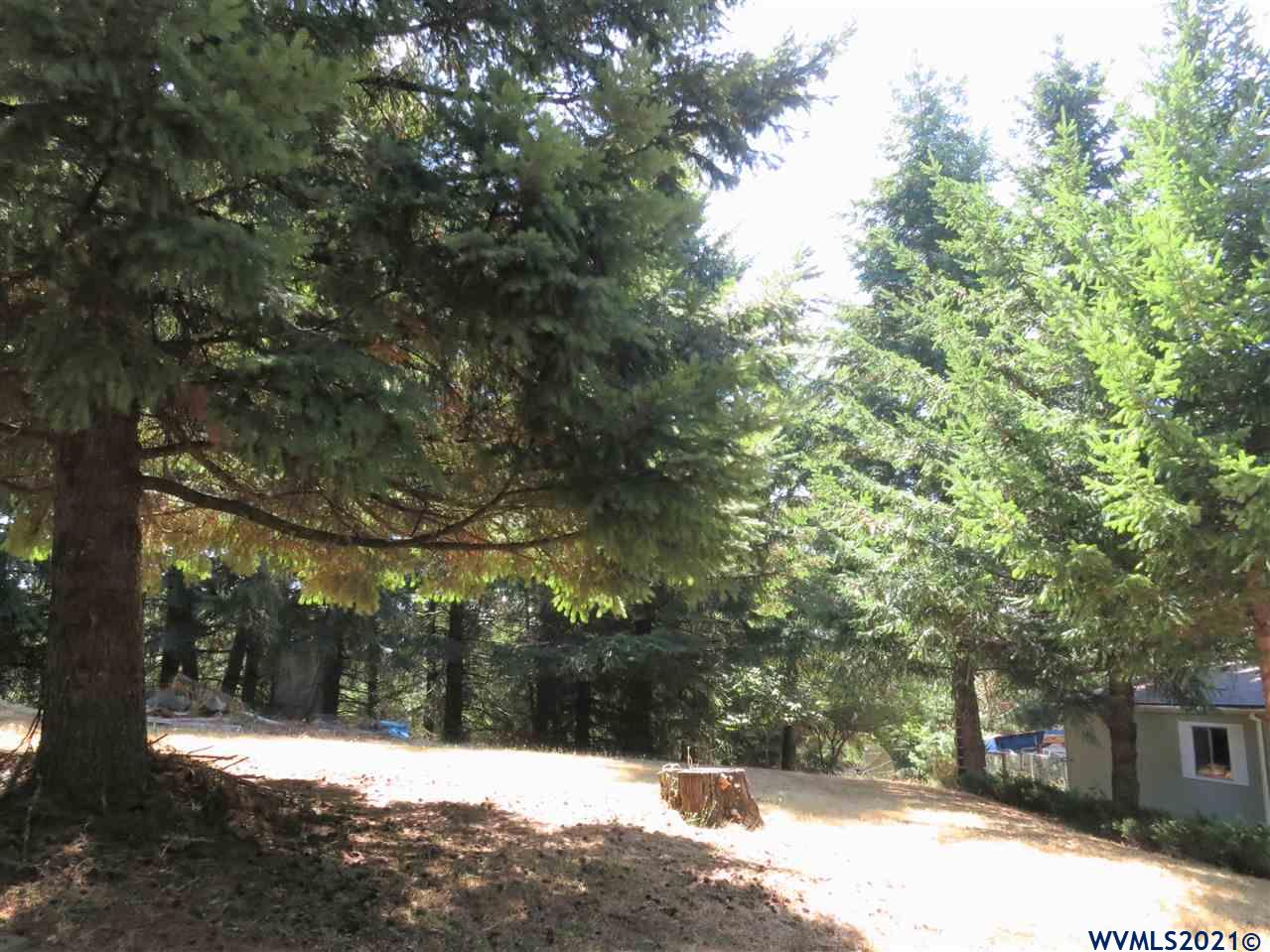 2610 Reuben Boise Road Dallas, OR 97338 - Photo 22 of 37