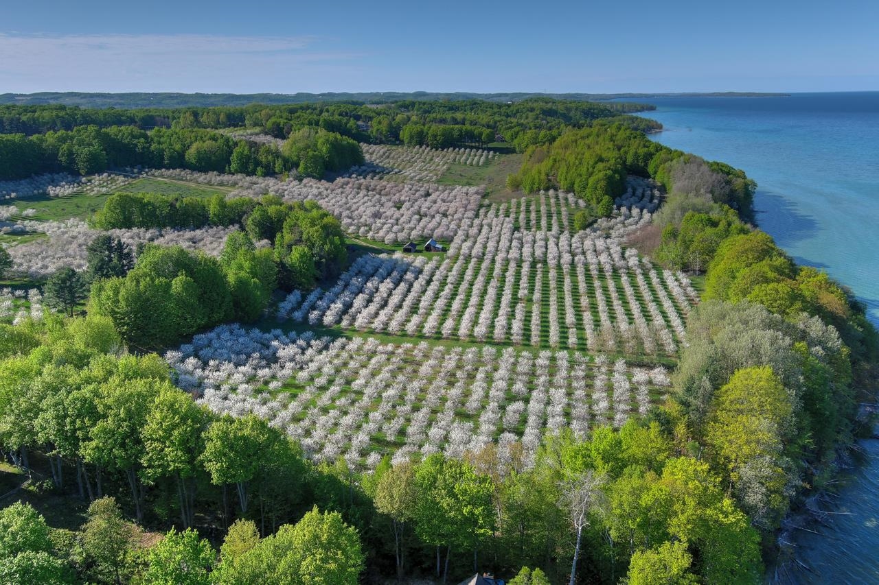 South Lee Point Road Suttons Bay, MI 49682 - Photo 21 of 28