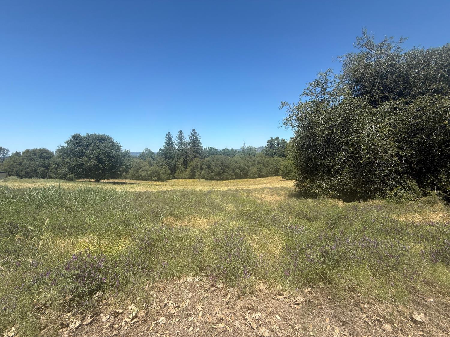 2322 Myrick Road Somerset, CA 95684 - Photo 3 of 30 a view of lake with mountain