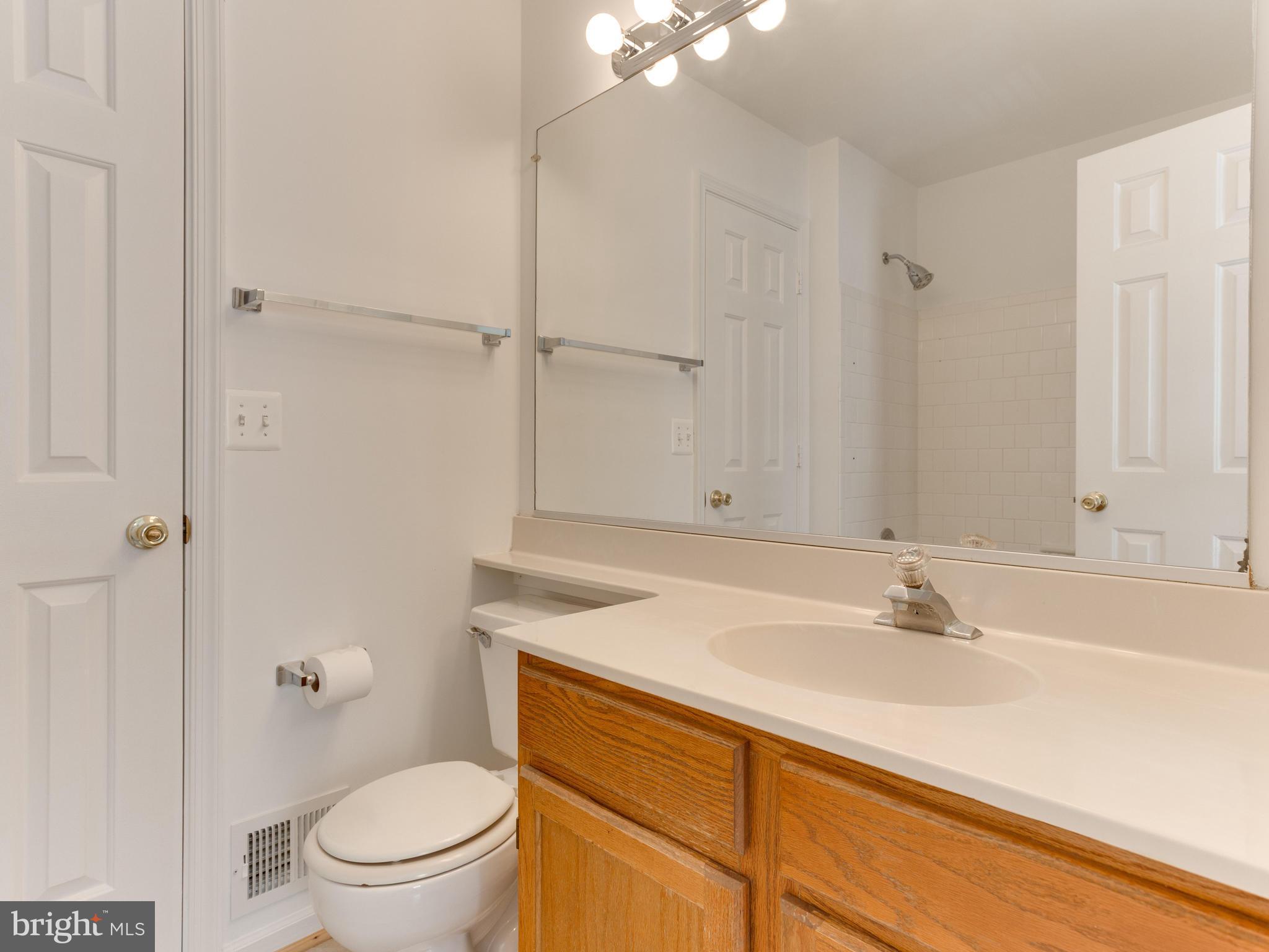 124 Carnaby Way Northeast Leesburg, VA 20176 - Photo 12 of 25 Bath (Master)