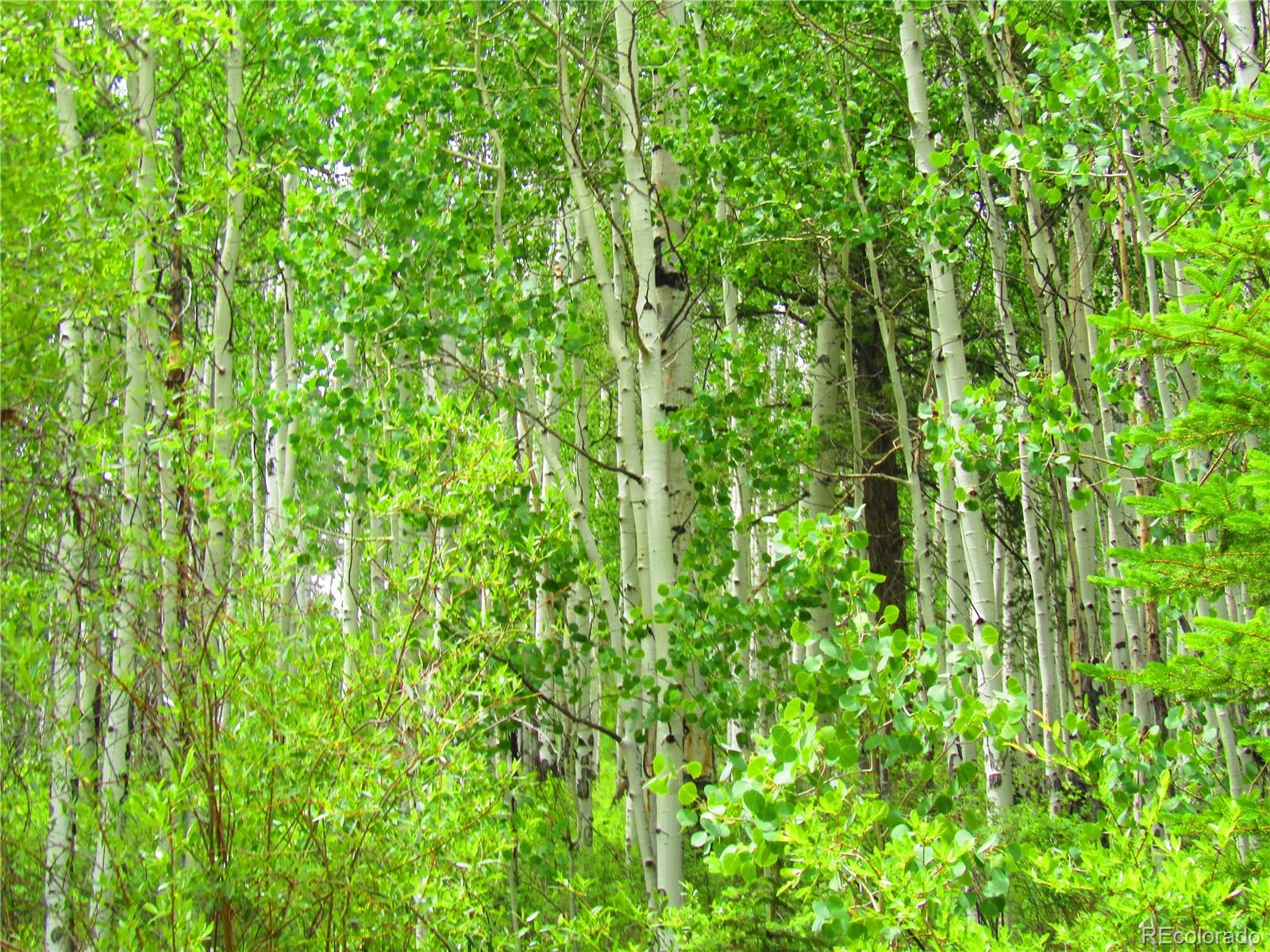 Lot 6295 Malcolm Road San Luis, CO 81152 - Photo 8 of 31