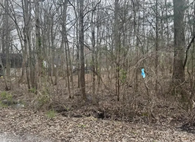 a view of a yard with trees in the background
