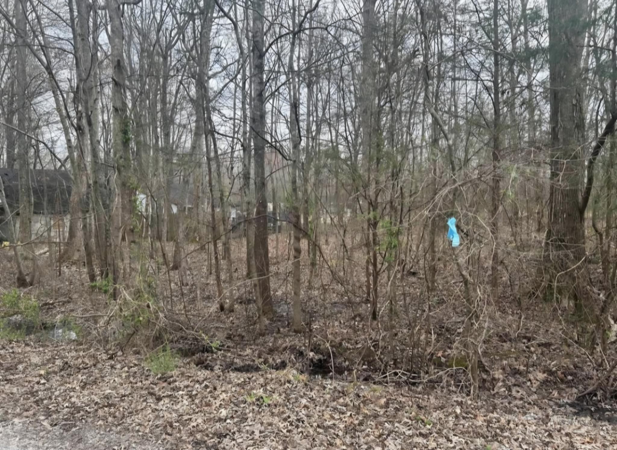 0 Pin Oak Run Beechgrove, TN 37018 - Photo 2 of 3 a view of a yard with trees in the background