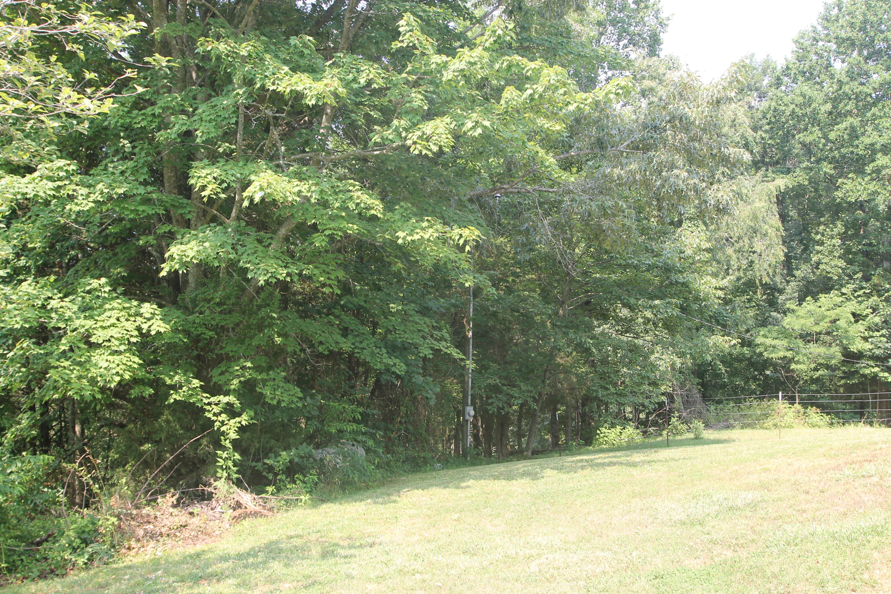 201 Cobb Road Surgoinsville, TN 37873 - Photo 29 of 39 Back Yard