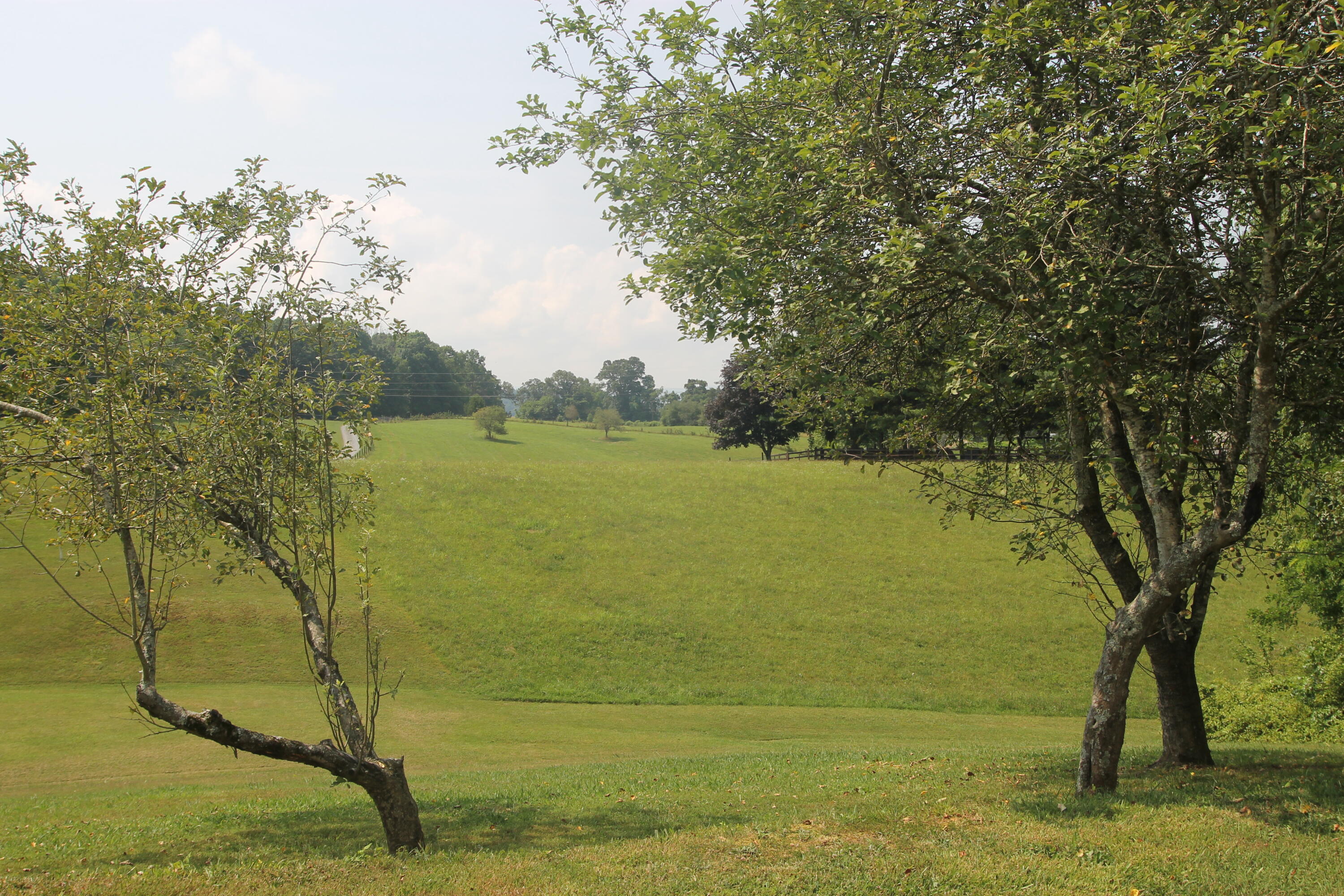 201 Cobb Road Surgoinsville, TN 37873 - Photo 30 of 39 Back Yard & View