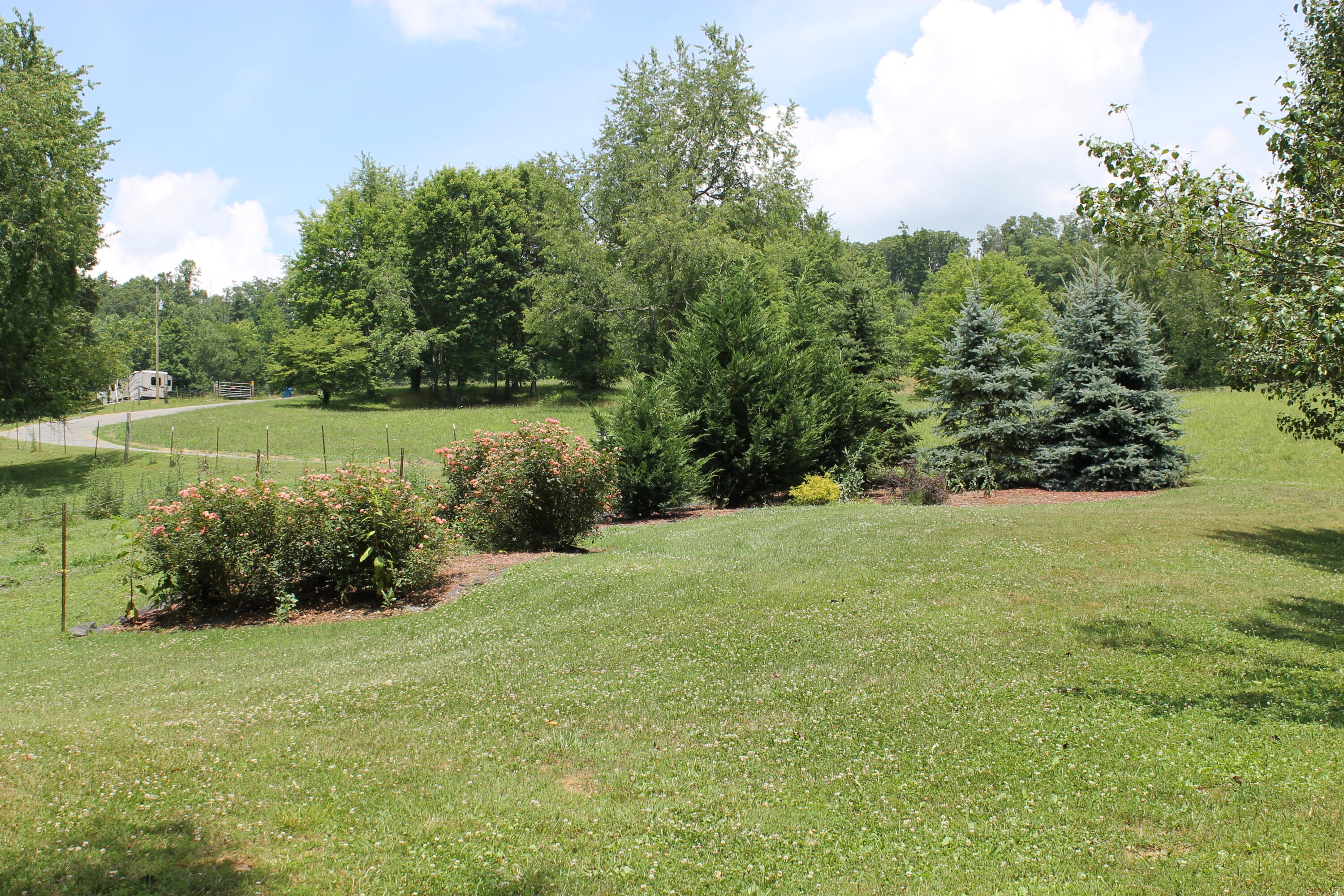 201 Cobb Road Surgoinsville, TN 37873 - Photo 33 of 39 Outside From Yard to Road