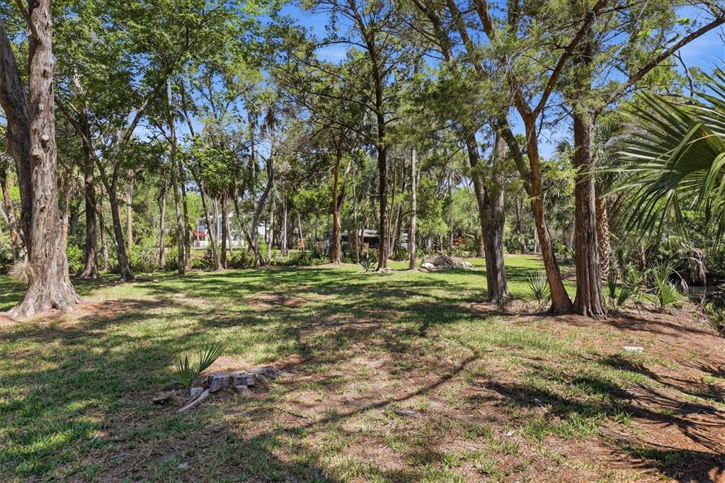 6248 Colony Circle Weeki Wachee, FL 34607 - Photo 7 of 20 a view of a tree in a yard