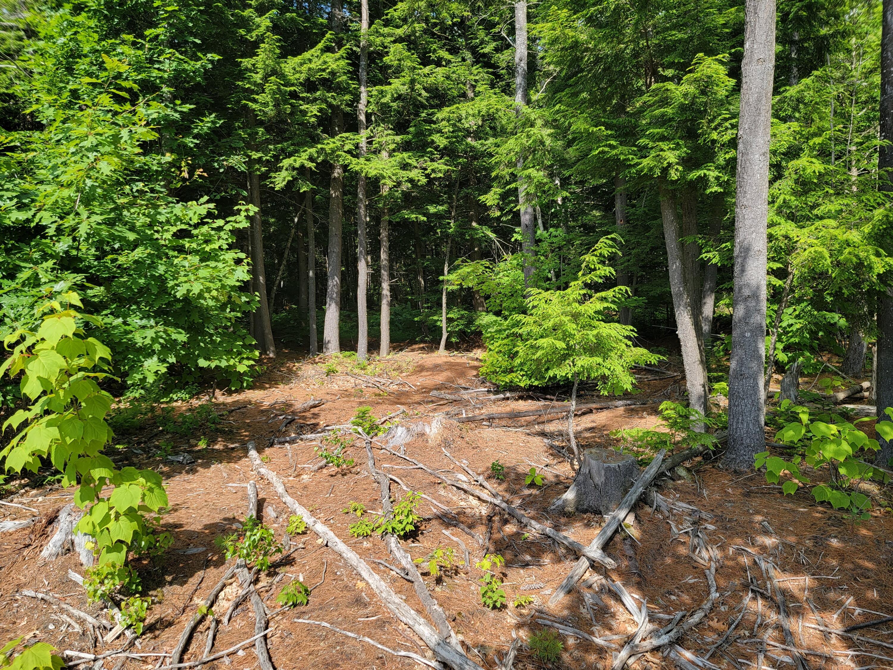 Lot 51-52 Back Winterport Road Hampden, ME 04444 - Photo 6 of 6 20220630_093639