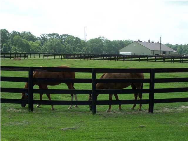 545 Muscadine Road Sunset, LA 70584 - Photo 7 of 7 Additional Photo